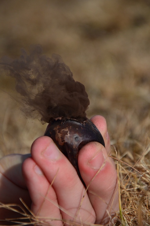 2016-12 France/Le Semnoz/DSC_0144.JPG